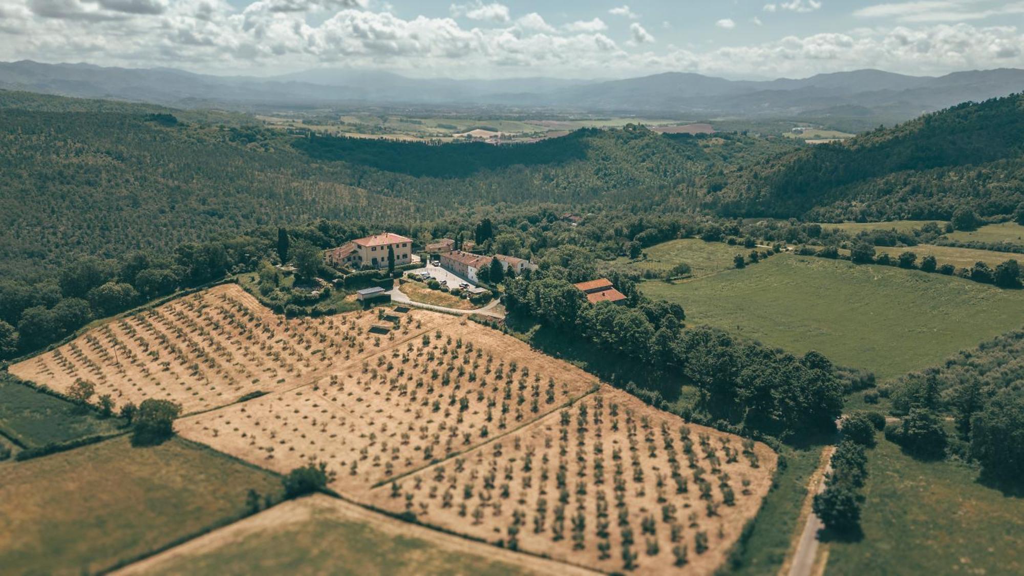 Villa Erbaia Relais De Charme Barberino di Mugello Exteriér fotografie